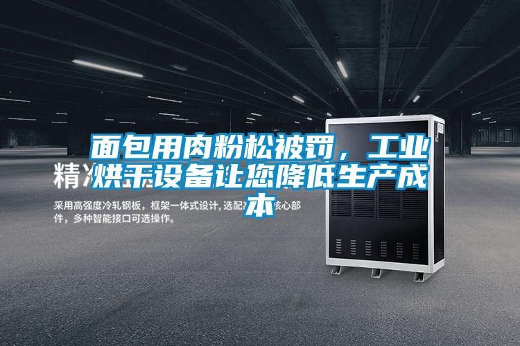 面包用肉粉松被罰，工業(yè)烘干設(shè)備讓您降低生產(chǎn)成本