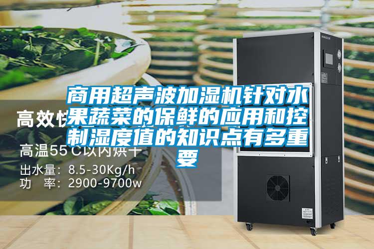 商用超聲波加濕機(jī)針對水果蔬菜的保鮮的應(yīng)用和控制濕度值的知識點(diǎn)有多重要