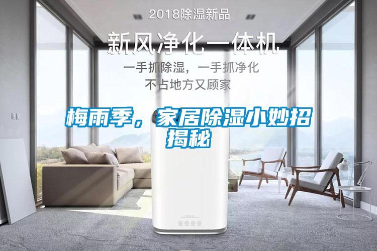 梅雨季，家居除濕小妙招揭秘