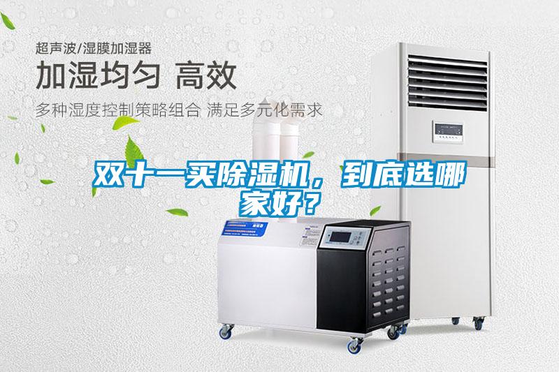 雙十一買除濕機(jī)，到底選哪家好？