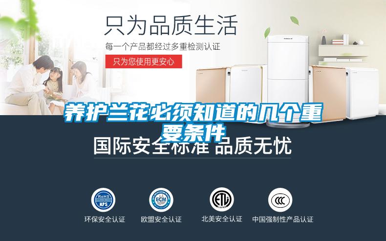 養護蘭花必須知道的幾個重要條件