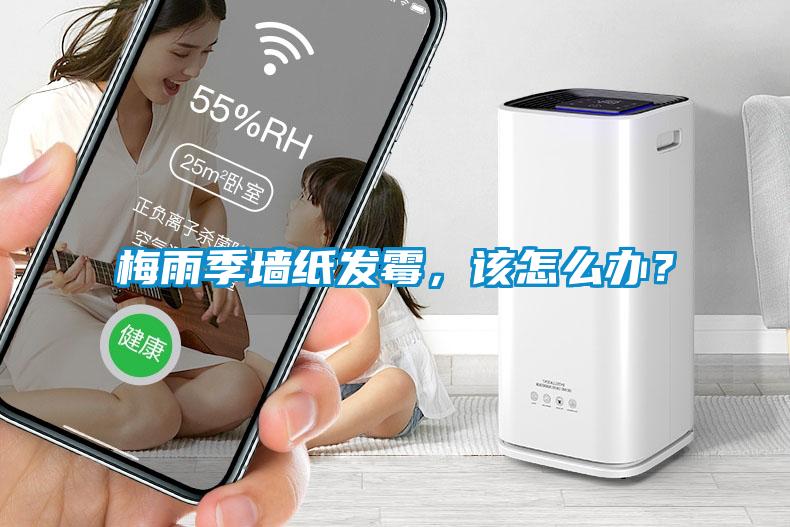 梅雨季墻紙發(fā)霉，該怎么辦？