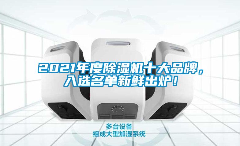 2021年度除濕機(jī)十大品牌，入選名單新鮮出爐！