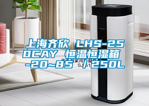 上海齊欣 LHS-250CAY 恒溫恒濕箱 -20~85℃/250L