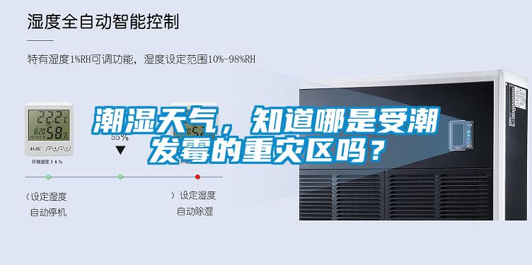 潮濕天氣，知道哪是受潮發(fā)霉的重災區(qū)嗎？