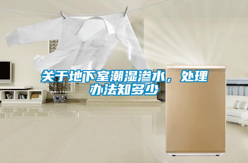關于地下室潮濕滲水，處理辦法知多少
