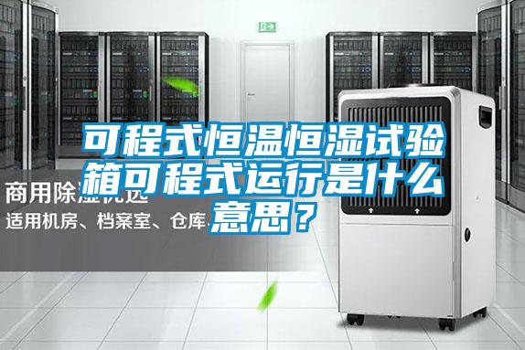 可程式恒溫恒濕試驗箱可程式運行是什么意思？
