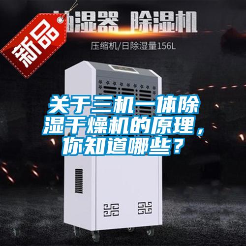 關(guān)于三機(jī)一體除濕干燥機(jī)的原理，你知道哪些？