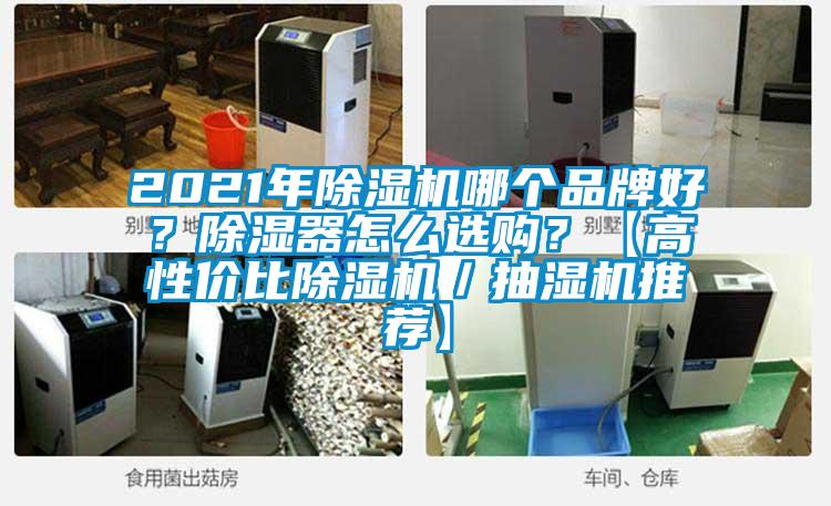2021年除濕機(jī)哪個品牌好？除濕器怎么選購？【高性價比除濕機(jī)／抽濕機(jī)推薦】