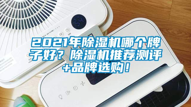 2021年除濕機(jī)哪個(gè)牌子好？除濕機(jī)推薦測(cè)評(píng)+品牌選購！