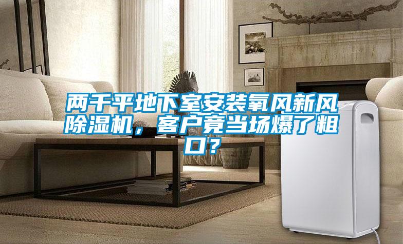 兩千平地下室安裝氧風新風除濕機，客戶竟當場爆了粗口？