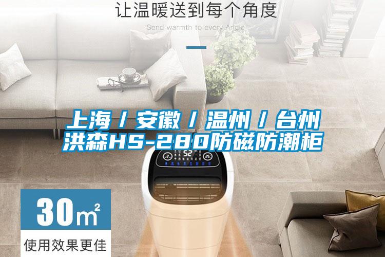 上海/安徽/溫州/臺州洪森HS-280防磁防潮柜