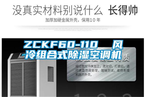 ZCKF60-110 風(fēng)冷組合式除濕空調(diào)機(jī)