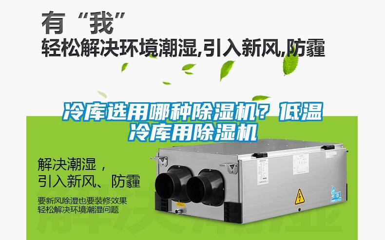 冷庫(kù)選用哪種除濕機(jī)？低溫冷庫(kù)用除濕機(jī)