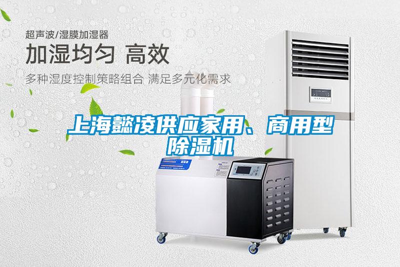上海懿凌供應(yīng)家用、商用型除濕機(jī)