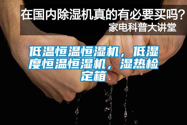 低溫恒溫恒濕機(jī)，低濕度恒溫恒濕機(jī)，濕熱檢定箱