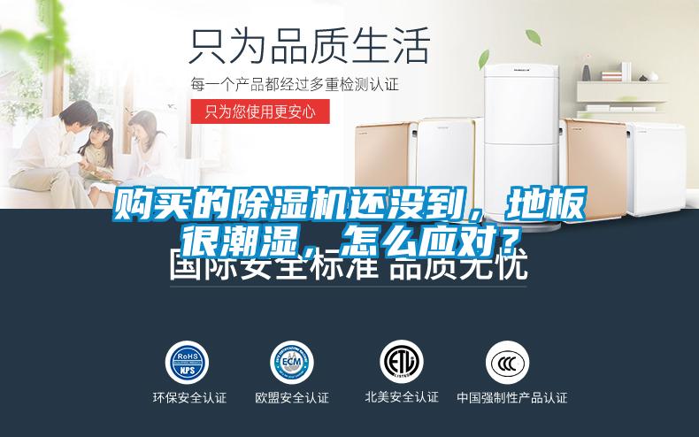 購買的除濕機還沒到,地板很潮濕,怎么應對?
