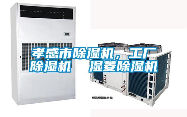 孝感市除濕機，工廠除濕機  濕菱除濕機