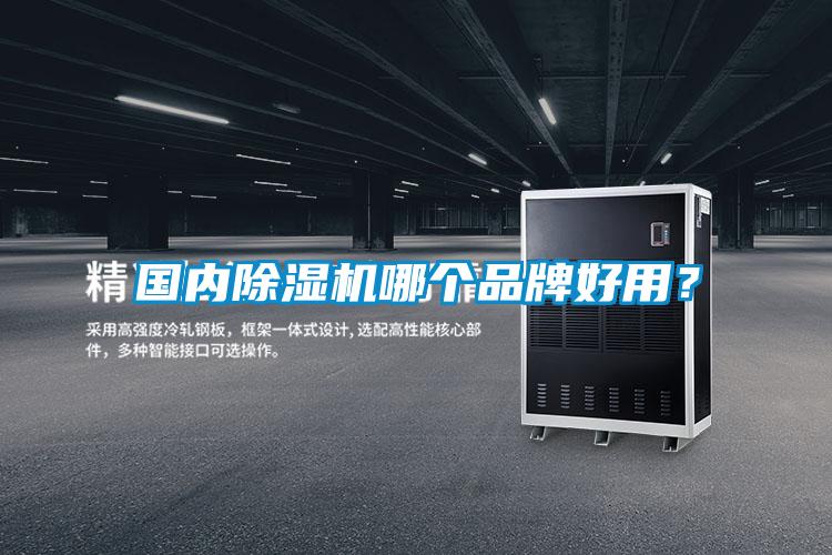 國內(nèi)除濕機哪個品牌好用？