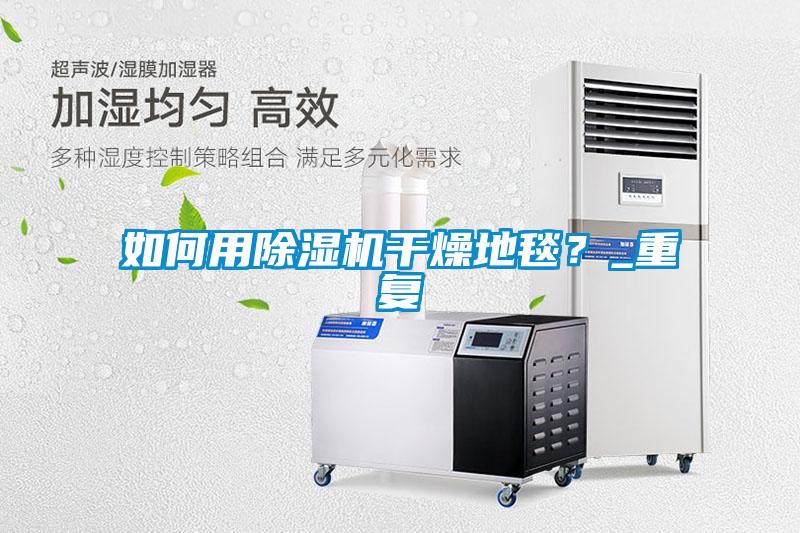 如何用除濕機干燥地毯？_重復