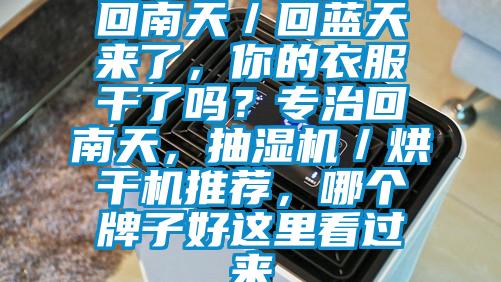 回南天／回藍天來了，你的衣服干了嗎？專治回南天，抽濕機／烘干機推薦，哪個牌子好這里看過來