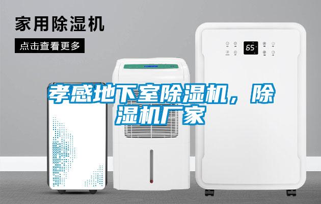 孝感地下室除濕機,除濕機廠家