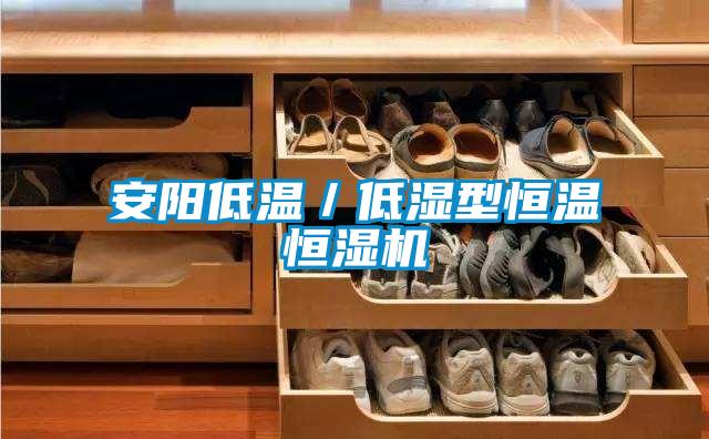 安陽低溫/低濕型恒溫恒濕機(jī)