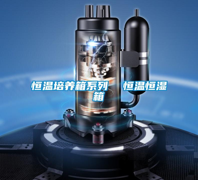 恒溫培養箱系列 恒溫恒濕箱