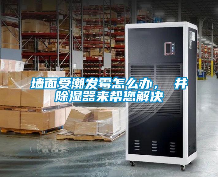 墻面受潮發(fā)霉怎么辦，東井除濕器來幫您解決