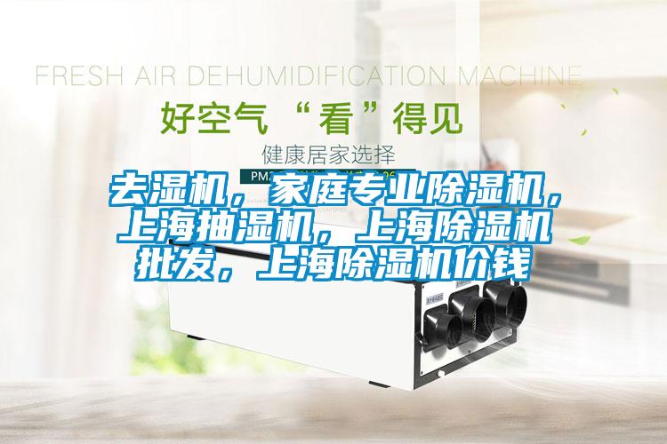 去濕機(jī)，家庭專(zhuān)業(yè)除濕機(jī)，上海抽濕機(jī)，上海除濕機(jī)批發(fā)，上海除濕機(jī)價(jià)錢(qián)