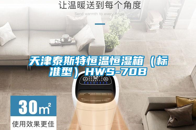 天津泰斯特恒溫恒濕箱(標準型)HWS-70B