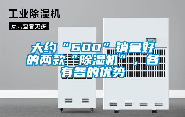 大約“600”銷(xiāo)量好的兩款“除濕機(jī)”，各有各的優(yōu)勢(shì)