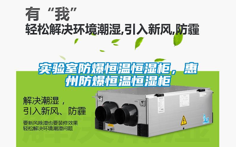 實驗室防爆恒溫恒濕柜，惠州防爆恒溫恒濕柜