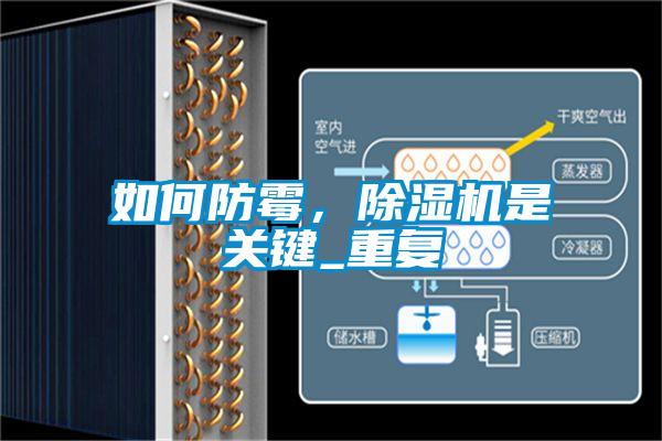 如何防霉，除濕機是關鍵_重復