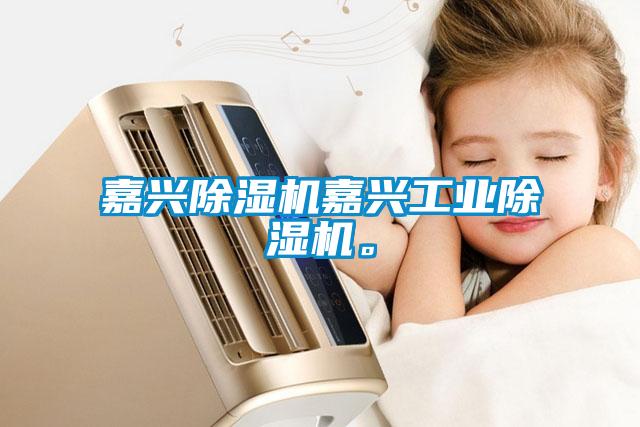 嘉興除濕機嘉興工業除濕機。