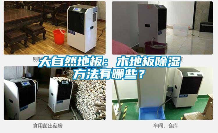 大自然地板：木地板除濕方法有哪些？