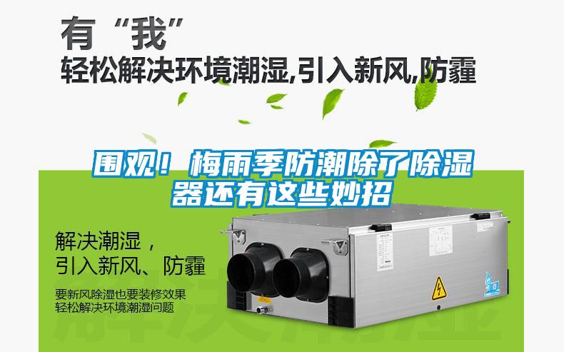 圍觀！梅雨季防潮除了除濕器還有這些妙招