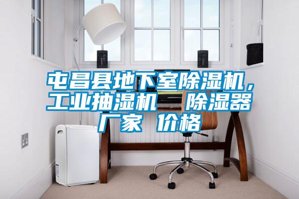 屯昌縣地下室除濕機，工業抽濕機  除濕器廠家 價格