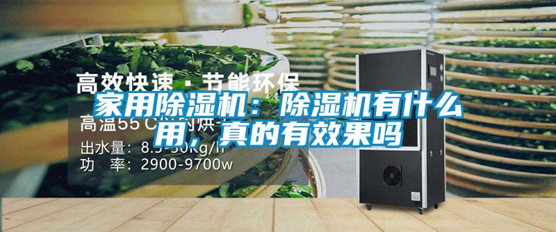 家用除濕機：除濕機有什么用，真的有效果嗎