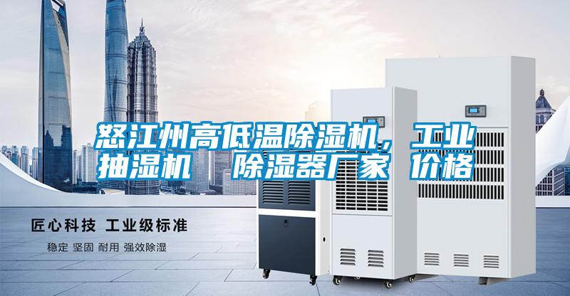 怒江州高低溫除濕機,工業(yè)抽濕機 除濕器廠家 價格