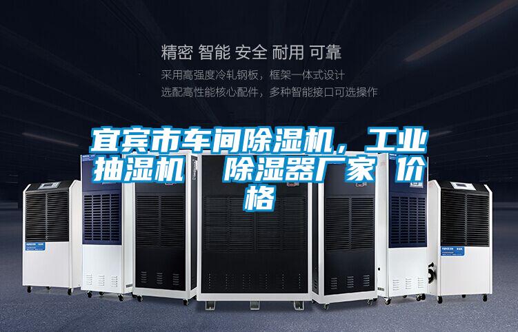 宜賓市車間除濕機(jī)，工業(yè)抽濕機(jī)  除濕器廠家 價(jià)格