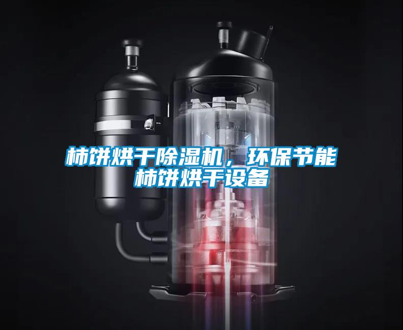 柿餅烘干除濕機(jī)，環(huán)保節(jié)能柿餅烘干設(shè)備