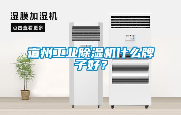 宿州工業除濕機什么牌子好？