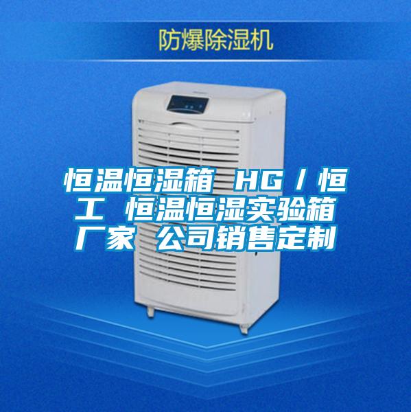 恒溫恒濕箱 HG/恒工 恒溫恒濕實(shí)驗(yàn)箱廠家 公司銷售定制