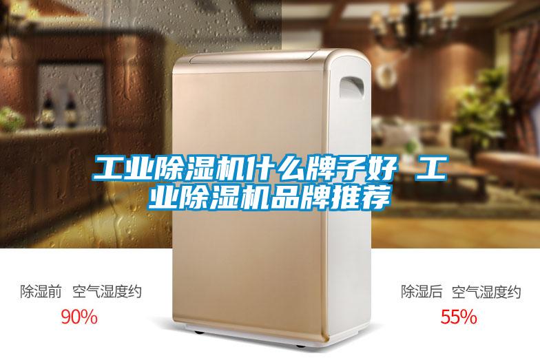工業除濕機什么牌子好 工業除濕機品牌推薦