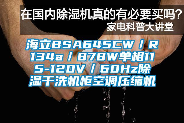 海立BSA645CW/R134a/878W單相115-120V/60Hz除濕干洗機柜空調壓縮機