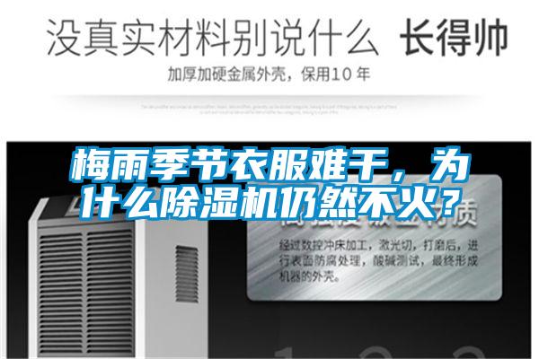 梅雨季節(jié)衣服難干，為什么除濕機(jī)仍然不火？