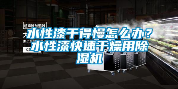 水性漆干得慢怎么辦？水性漆快速干燥用除濕機(jī)