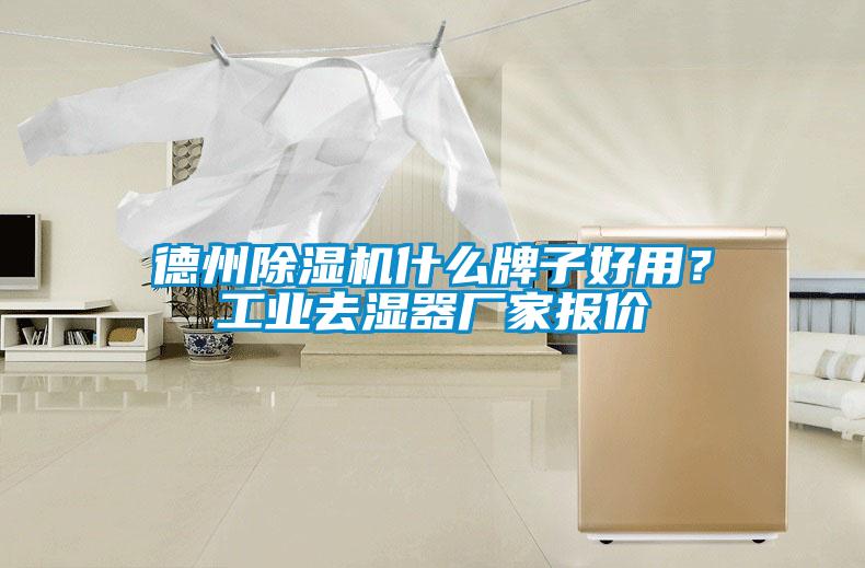 德州除濕機什么牌子好用？工業去濕器廠家報價