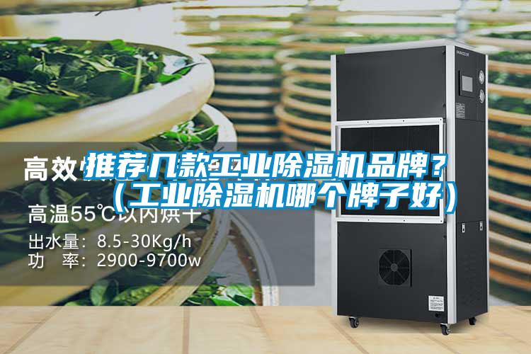 推薦幾款工業(yè)除濕機品牌?(工業(yè)除濕機哪個牌子好)